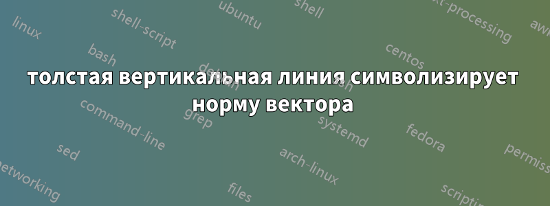 толстая вертикальная линия символизирует норму вектора