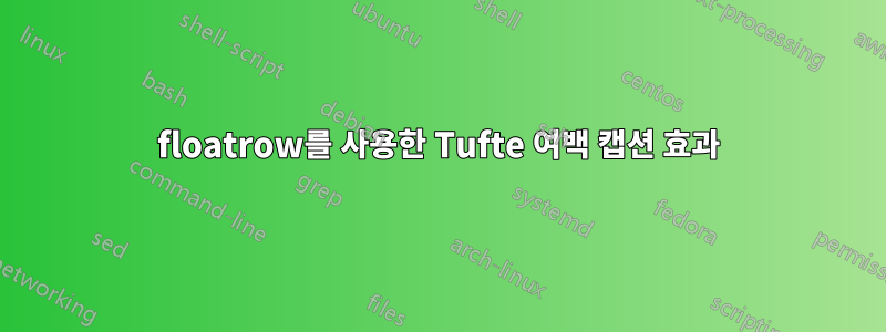 floatrow를 사용한 Tufte 여백 캡션 효과