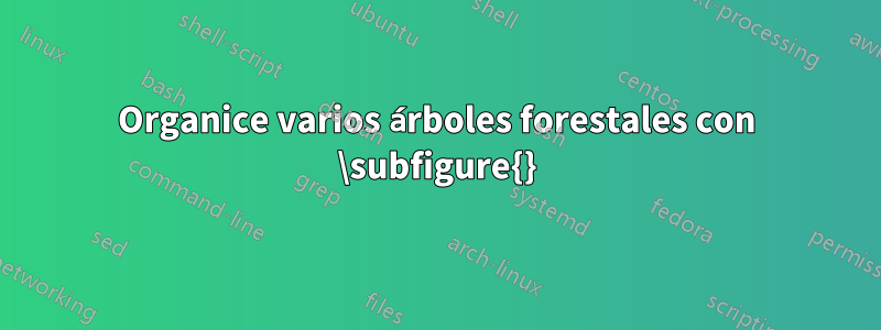 Organice varios árboles forestales con \subfigure{}