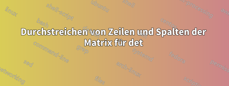 Durchstreichen von Zeilen und Spalten der Matrix für det