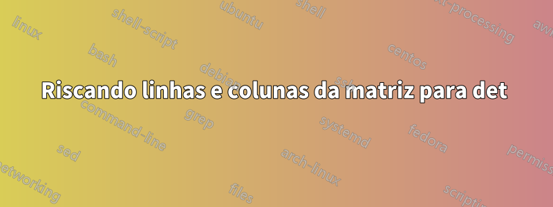 Riscando linhas e colunas da matriz para det