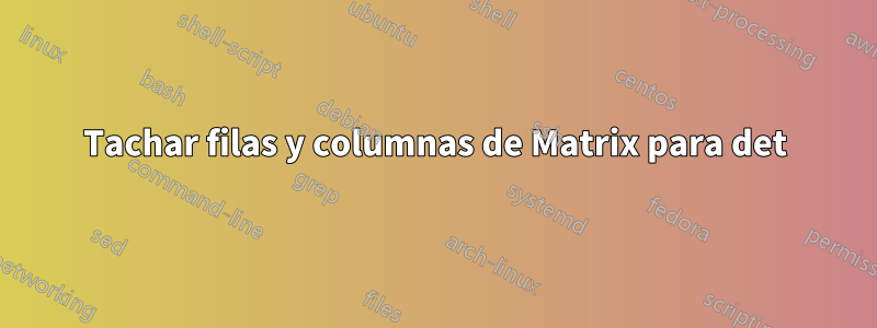 Tachar filas y columnas de Matrix para det