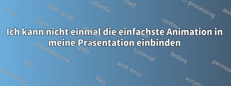 Ich kann nicht einmal die einfachste Animation in meine Präsentation einbinden