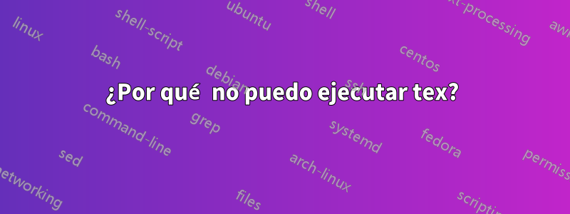 ¿Por qué no puedo ejecutar tex?