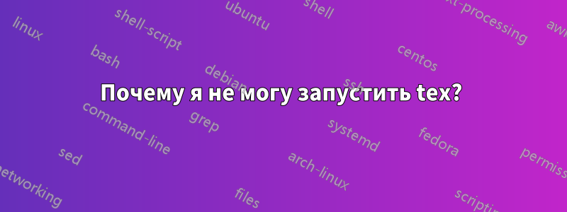 Почему я не могу запустить tex?