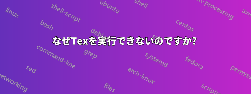 なぜTexを実行できないのですか?