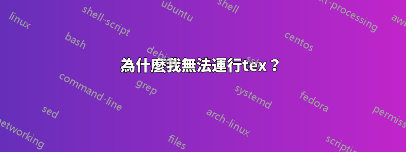 為什麼我無法運行tex？