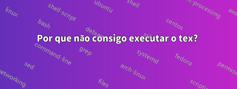 Por que não consigo executar o tex?