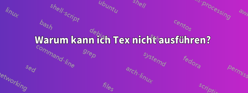 Warum kann ich Tex nicht ausführen?