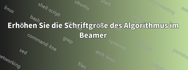 Erhöhen Sie die Schriftgröße des Algorithmus im Beamer