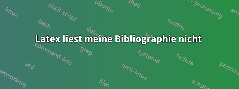 Latex liest meine Bibliographie nicht