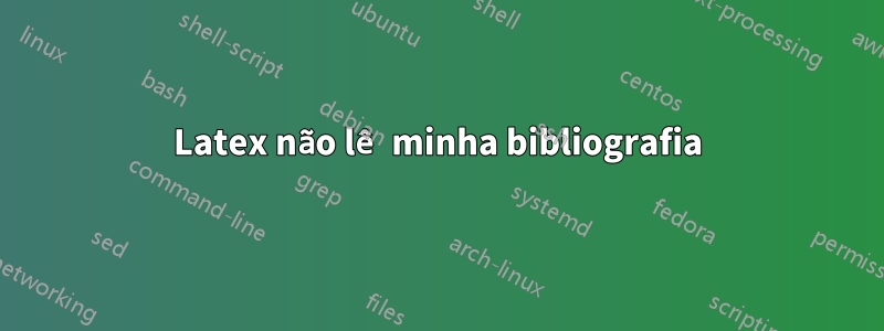 Latex não lê minha bibliografia