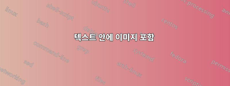 텍스트 안에 이미지 포함