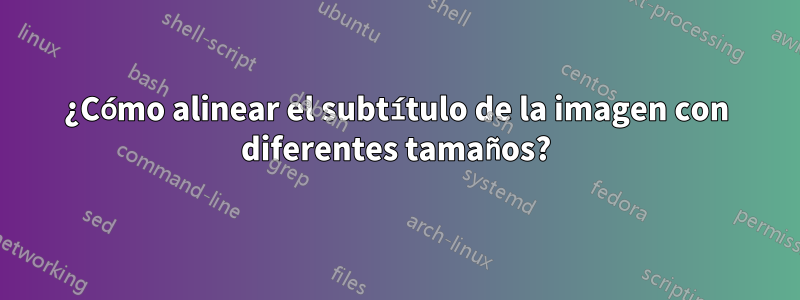 ¿Cómo alinear el subtítulo de la imagen con diferentes tamaños?