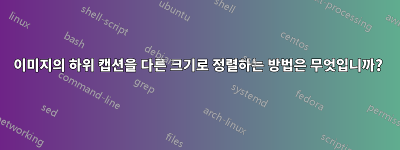 이미지의 하위 캡션을 다른 크기로 정렬하는 방법은 무엇입니까?