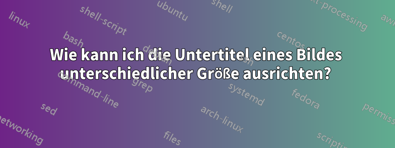 Wie kann ich die Untertitel eines Bildes unterschiedlicher Größe ausrichten?