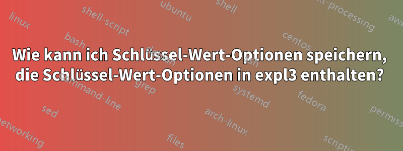 Wie kann ich Schlüssel-Wert-Optionen speichern, die Schlüssel-Wert-Optionen in expl3 enthalten?