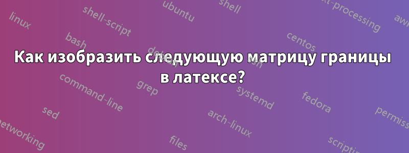 Как изобразить следующую матрицу границы в латексе?