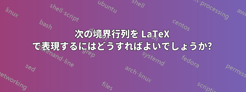 次の境界行列を LaTeX で表現するにはどうすればよいでしょうか?