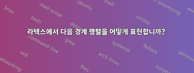 라텍스에서 다음 경계 행렬을 어떻게 표현합니까?