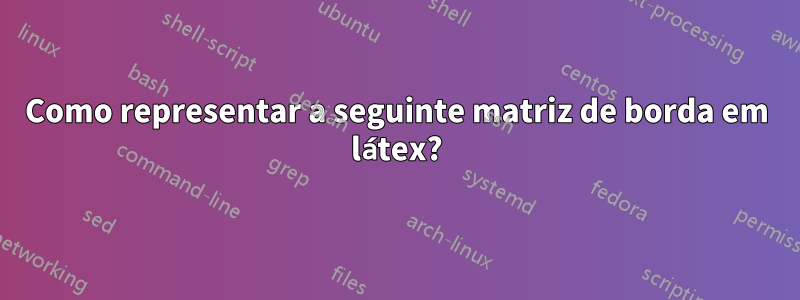 Como representar a seguinte matriz de borda em látex?