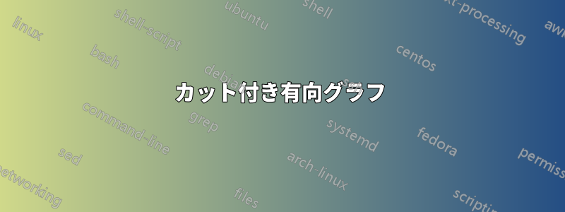 カット付き有向グラフ