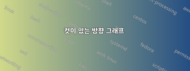 컷이 있는 방향 그래프