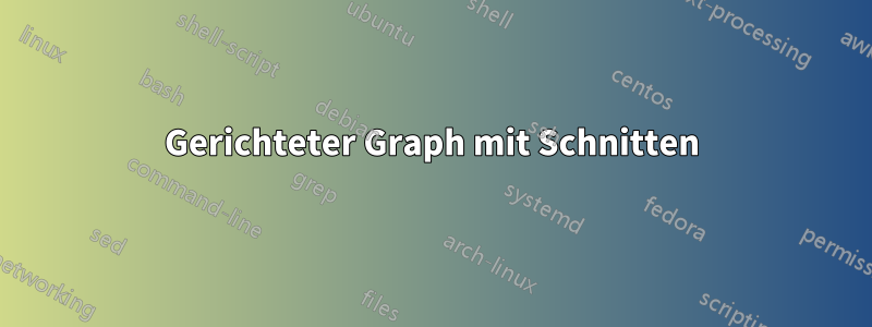 Gerichteter Graph mit Schnitten