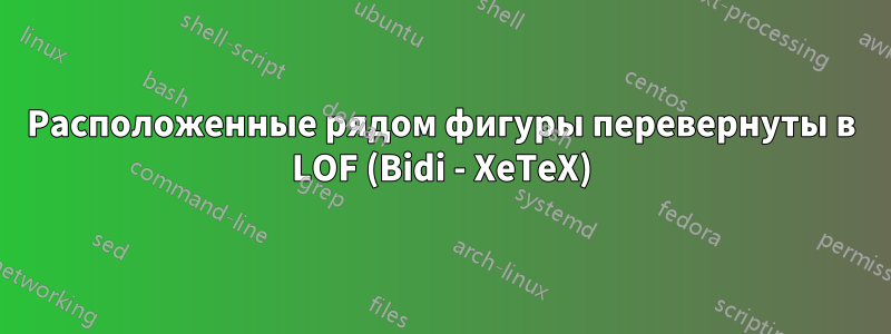 Расположенные рядом фигуры перевернуты в LOF (Bidi - XeTeX)