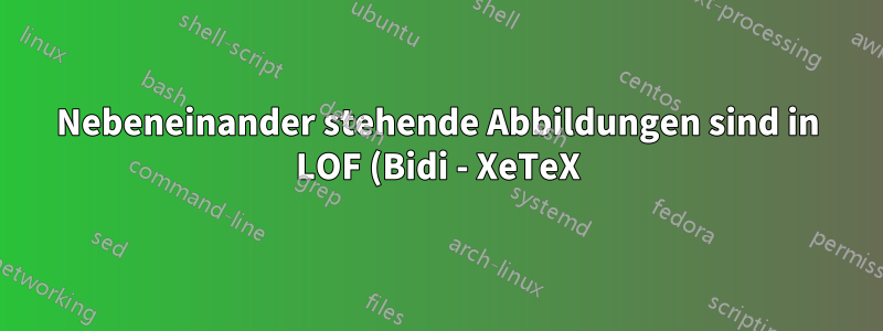 Nebeneinander stehende Abbildungen sind in LOF (Bidi - XeTeX) umgekehrt.