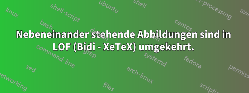 Nebeneinander stehende Abbildungen sind in LOF (Bidi - XeTeX) umgekehrt.