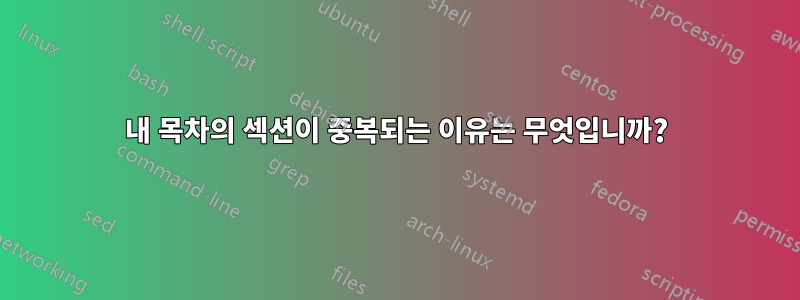 내 목차의 섹션이 중복되는 이유는 무엇입니까?