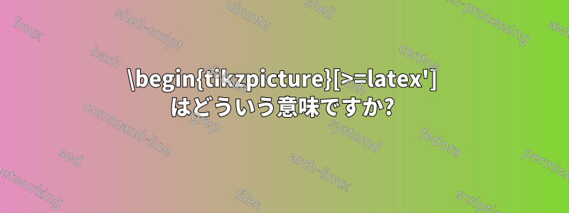 \begin{tikzpicture}[>=latex'] はどういう意味ですか?