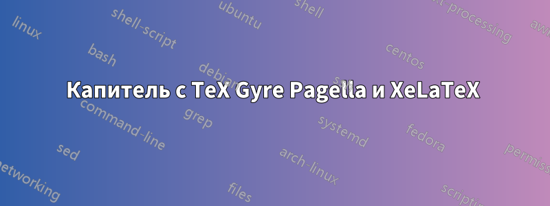 Капитель с TeX Gyre Pagella и XeLaTeX