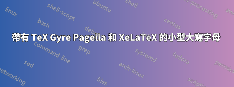 帶有 TeX Gyre Pagella 和 XeLaTeX 的小型大寫字母