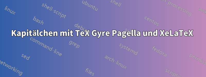 Kapitälchen mit TeX Gyre Pagella und XeLaTeX