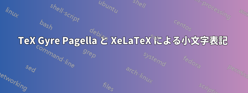 TeX Gyre Pagella と XeLaTeX による小文字表記