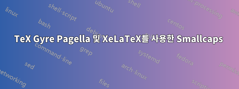 TeX Gyre Pagella 및 XeLaTeX를 사용한 Smallcaps