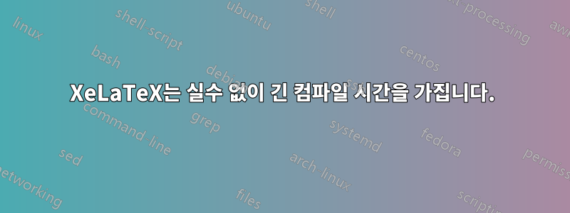 XeLaTeX는 실수 없이 긴 컴파일 시간을 가집니다.