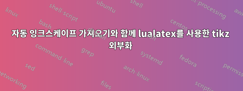 자동 잉크스케이프 가져오기와 함께 lualatex를 사용한 tikz 외부화