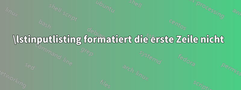 \lstinputlisting formatiert die erste Zeile nicht 