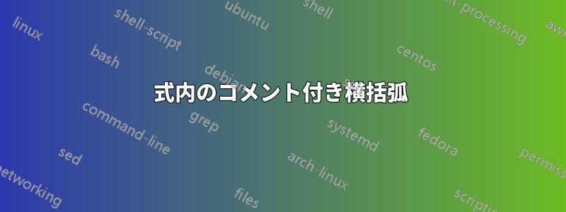 式内のコメント付き横括弧