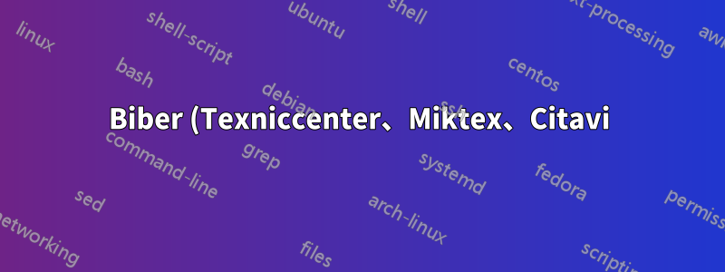 Biber (Texniccenter、Miktex、Citavi) に関する問題