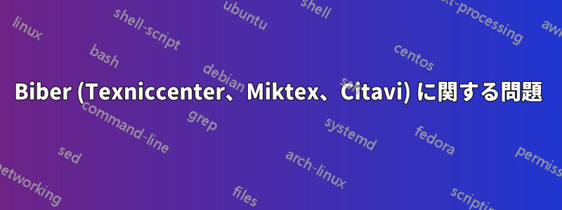 Biber (Texniccenter、Miktex、Citavi) に関する問題