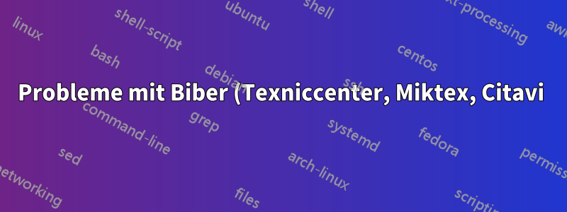 Probleme mit Biber (Texniccenter, Miktex, Citavi)