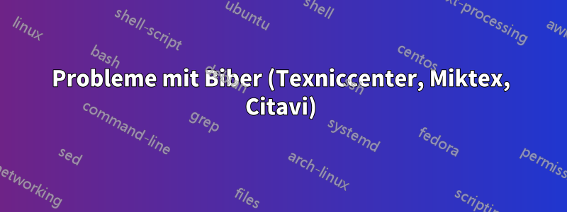 Probleme mit Biber (Texniccenter, Miktex, Citavi)