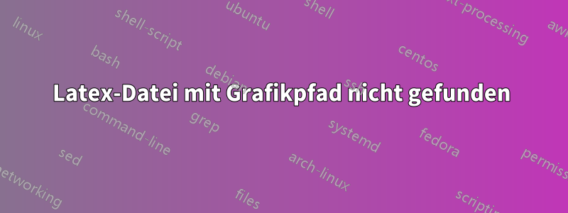 Latex-Datei mit Grafikpfad nicht gefunden