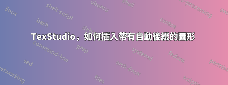 TexStudio，如何插入帶有自動後綴的圖形