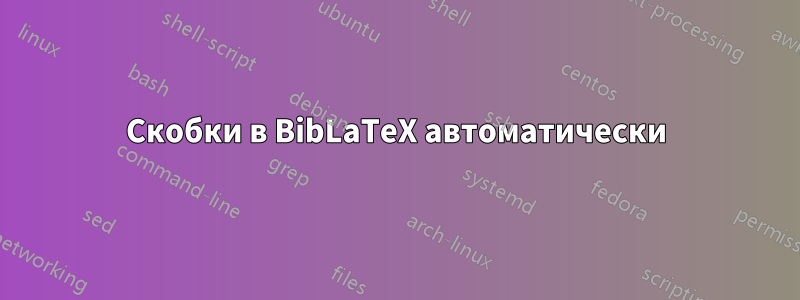 Скобки в BibLaTeX автоматически