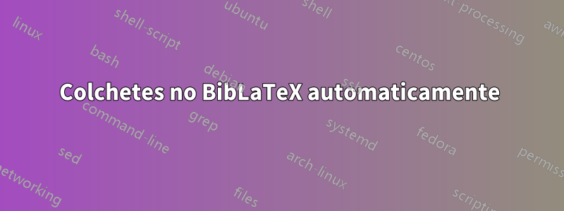 Colchetes no BibLaTeX automaticamente